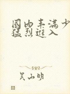 国内丰满少妇被猛烈进入