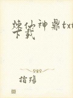 炼仙神鼎txt下载