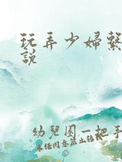 玩弄少妇系列小说