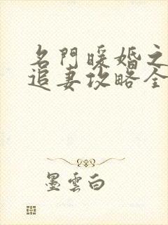 名门暖婚之权爷追妻攻略全文