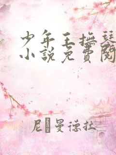 少年王抚琴的人小说免费阅读txt下载