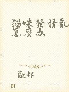 猫咪发情乱拉尿怎么办