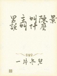 男主叫陈景的小说叫什么