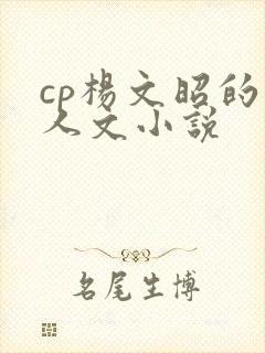cp杨文昭的同人文小说