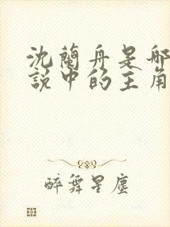 沈兰舟是哪部小说中的主角