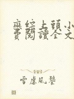 恋综上头小说免费阅读全文最新章节