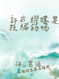 许我耀眼是小说改编的吗