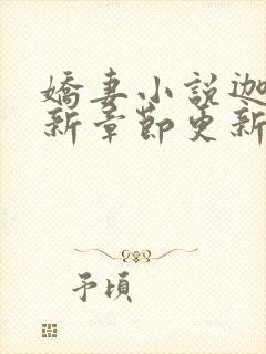 娇妻小说迦南最新章节更新