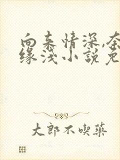 向来情深,奈何缘浅小说免费阅读