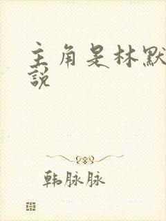 主角是林默的小说