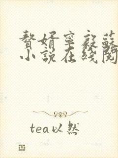 赘婿宁毅苏檀儿小说在线阅读免费