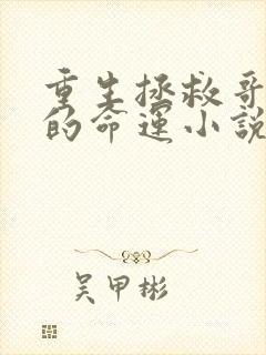 重生拯救哥哥们的命运小说阅读