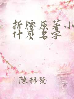 折腰原著小说叫什么名字