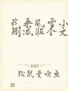 我乘风雪小说未删减版全文阅读