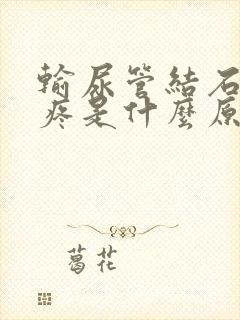 输尿管结石有点疼是什么原因