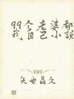 99个老婆都是我自己小说免费阅读