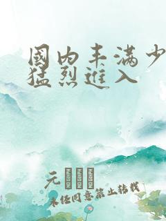 国内丰满少妇被猛烈进入