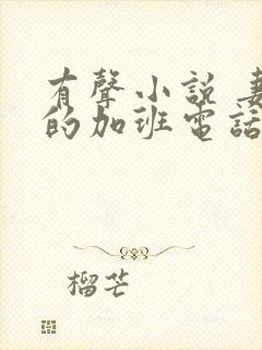 有声小说 妻子的加班电话