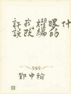 许我耀眼什么小说改编的