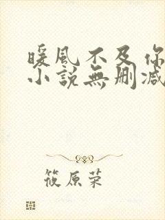 暖风不及你情深小说无删减正版在线阅读