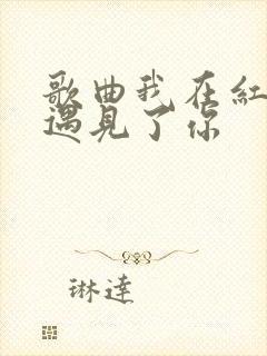 歌曲我在红尘中遇见了你