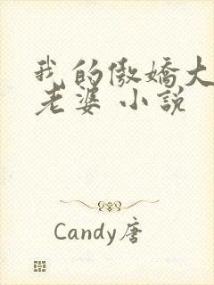 我的傲娇大小姐老婆 小说