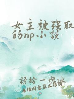 女主被强取豪夺的np小说