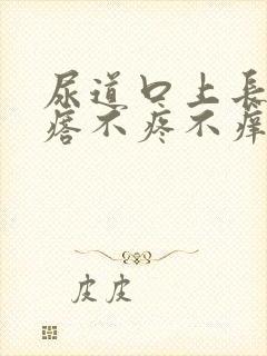 尿道口上长小疙瘩不疼不痒