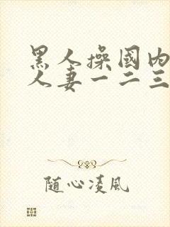 黑人操国内精品人妻一二三四区