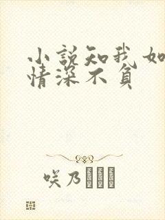 小说知我如你,情深不负