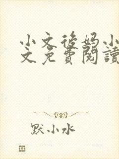 小文后妈小说全文免费阅读最新章节