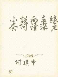 小说向来缘浅,奈何情深免费阅读