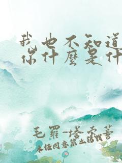 我也不知道我爱你什么是什么歌