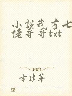 小说我有七个大佬哥哥txt