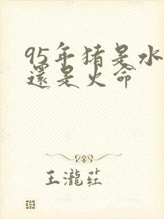 95年猪是水命还是火命