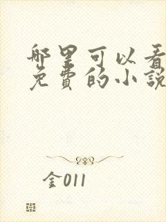 哪里可以看所有免费的小说