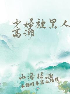 少妇被黑人喷到高潮