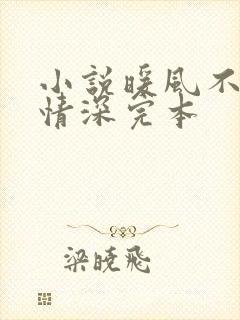 小说暖风不及你情深完本