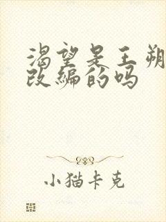 渴望是王朔小说改编的吗