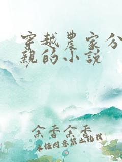 穿越农家分家断亲的小说