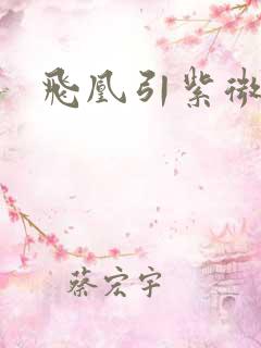 飞凰引紫微流年