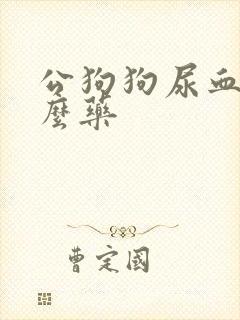 公狗狗尿血吃什么药