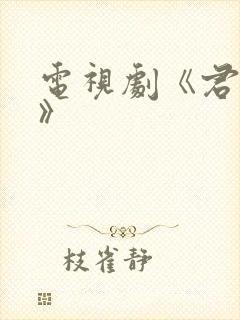 电视剧《君九龄》