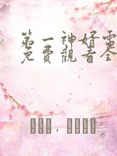 第一神婿电视剧免费观看全集高清