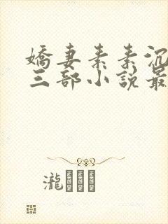 娇妻素素沉沦第三部小说最新章节