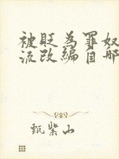 被贬为罪奴的镜流改编自哪部小说