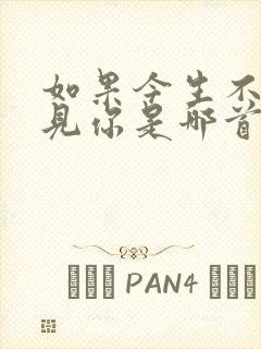 如果今生不曾遇见你是哪首歌的歌词