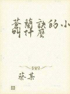 苍兰诀的小说名叫什么