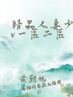 精品人妻少妇av一区二区