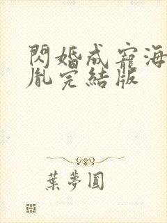 闪婚成宠海彤战胤完结版